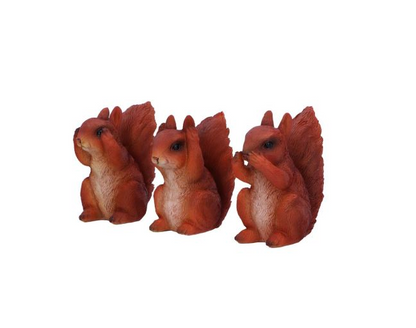 Three Wise Squirrels