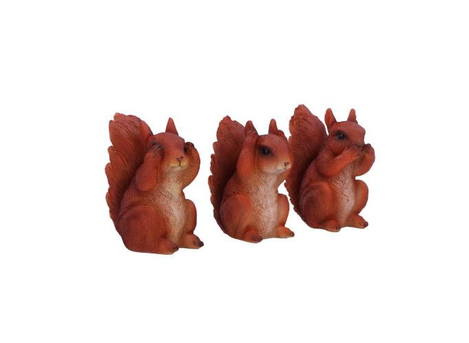 Three Wise Squirrels