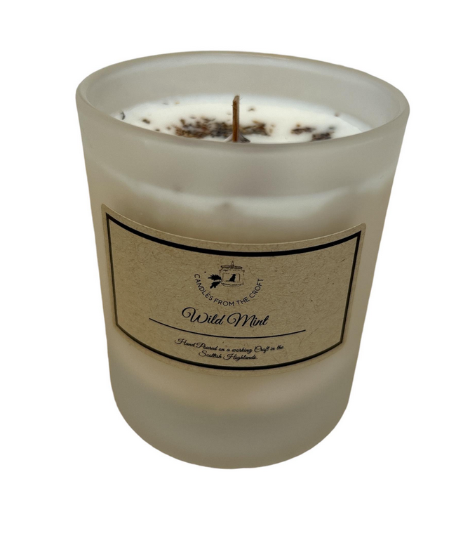 20CL Soy Wax Candle - Wild Mint