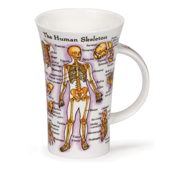 Human Body China Mug