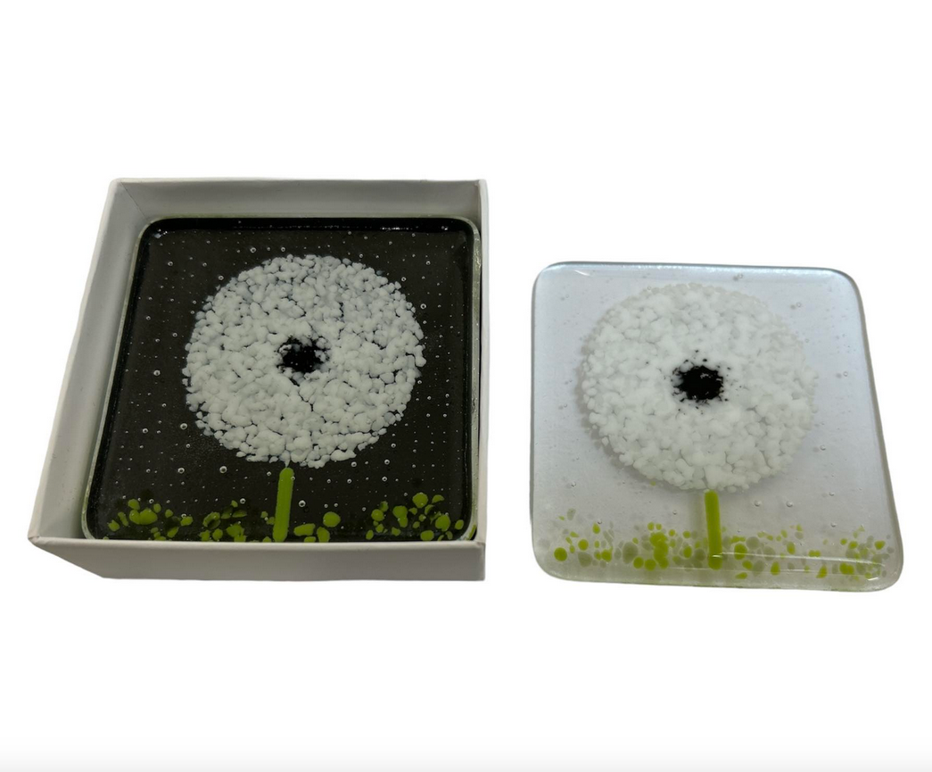 White Flower Glass Coaster Pair