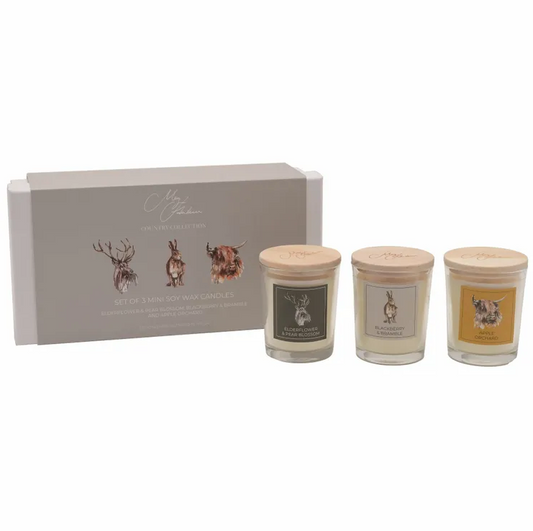 Set of 3 Mini Soy Wax Candles
