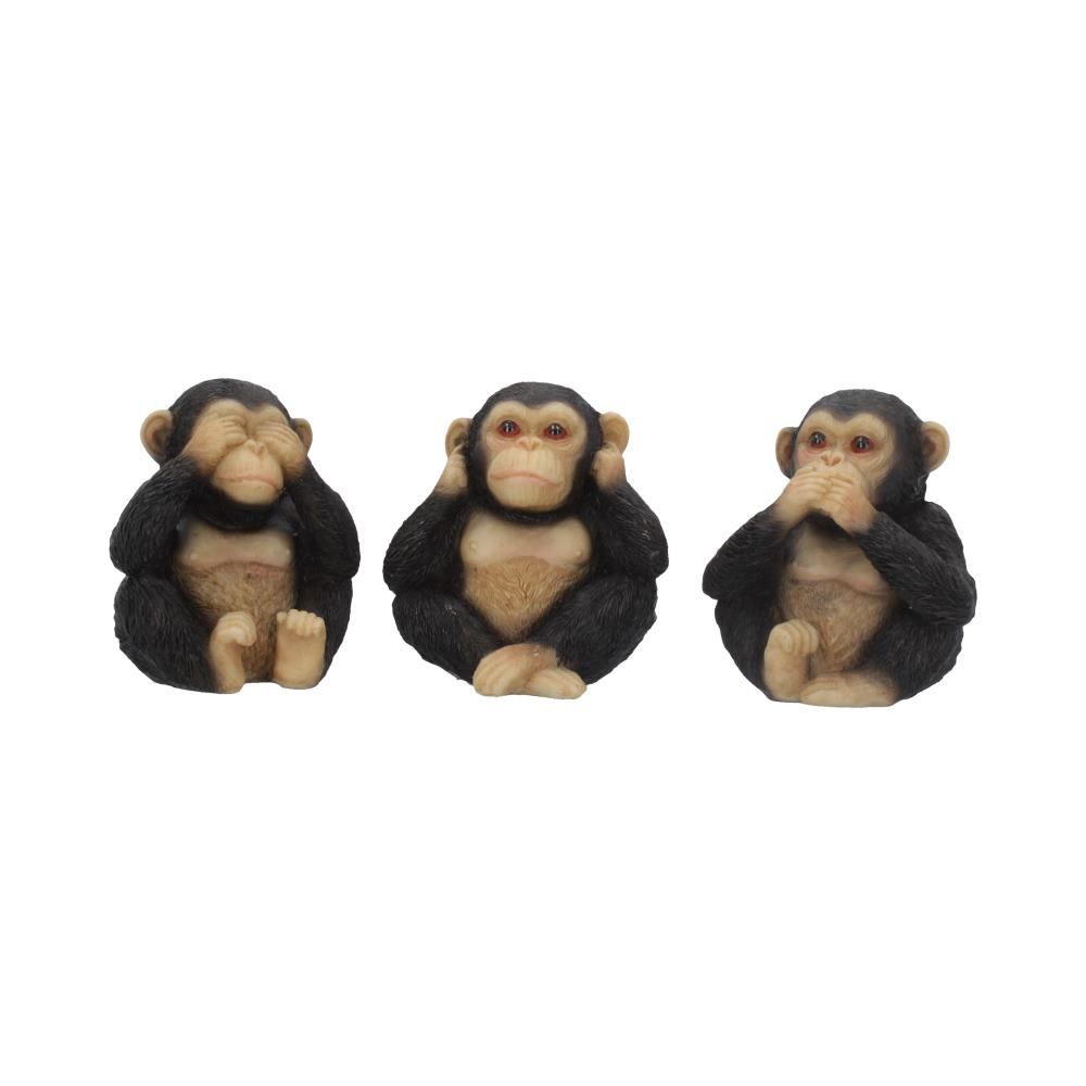 Three Wise Chimps