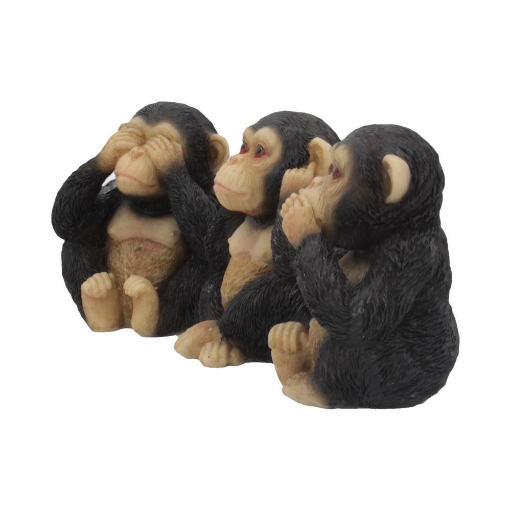 Three Wise Chimps