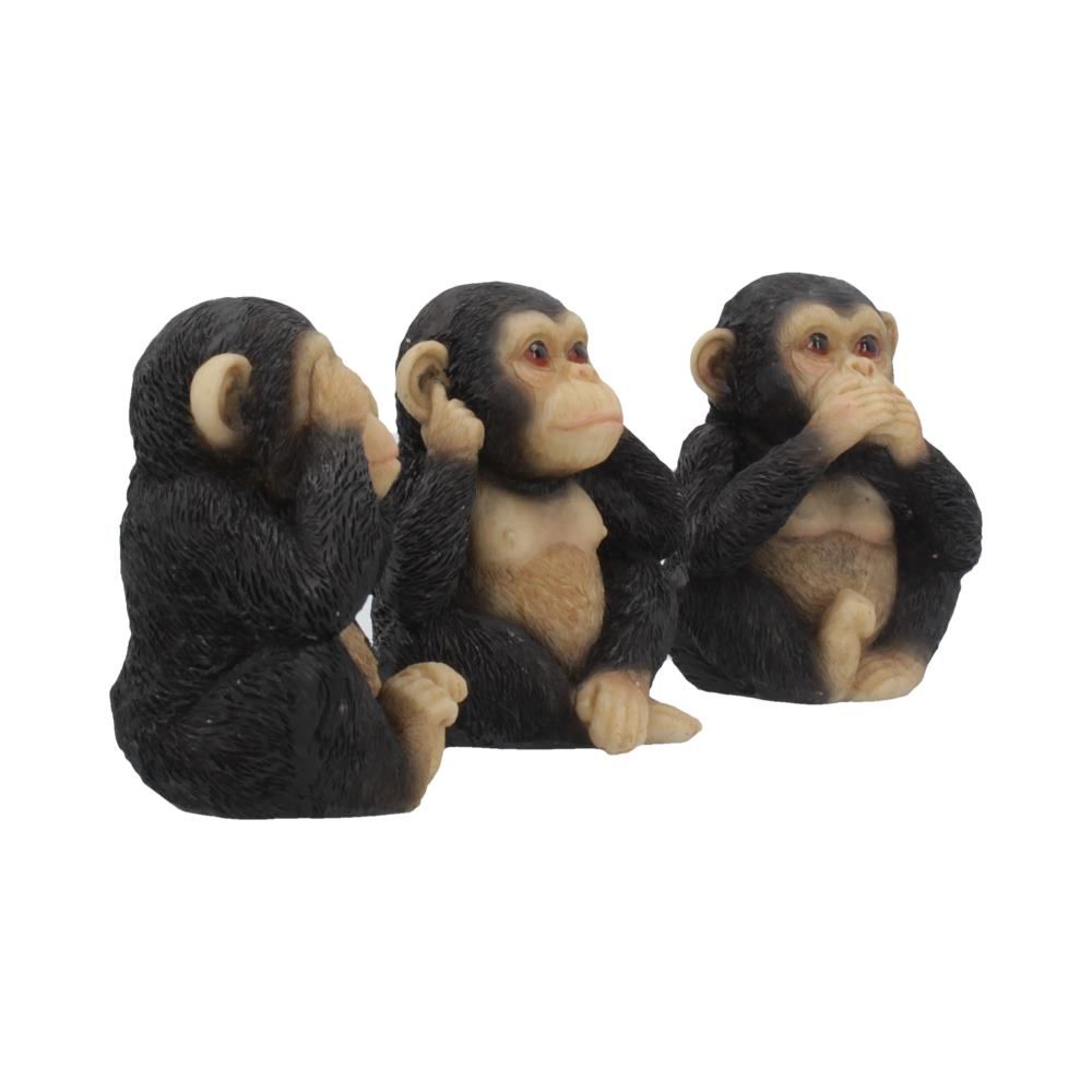 Three Wise Chimps