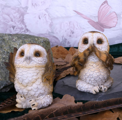 Three Wise Owls