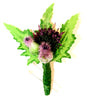 Purple Thistle Buttonhole