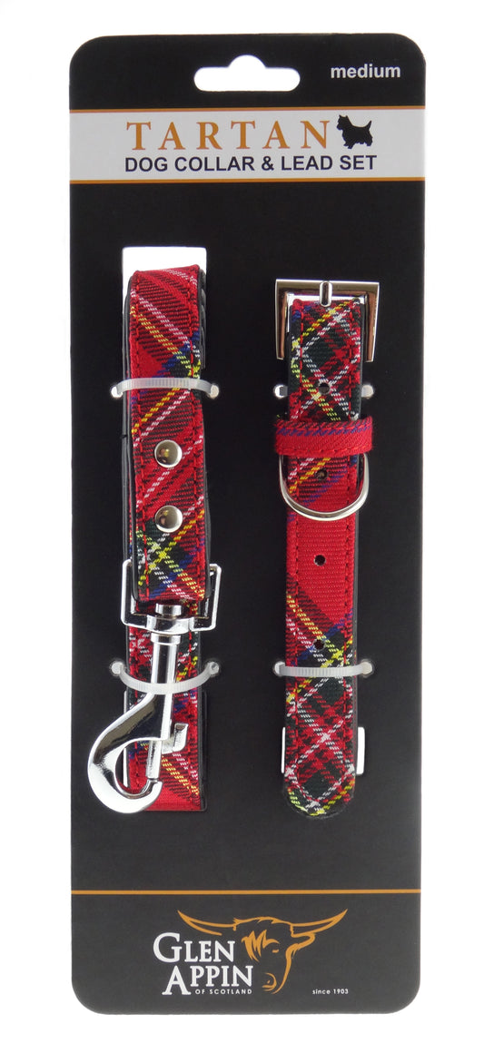 Royal Stewart Tartan Dog Lead and Collar Set