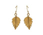 Vermeil Silver Birch Earrings