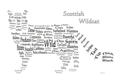 Scottish Wild Cat Word Art Picture