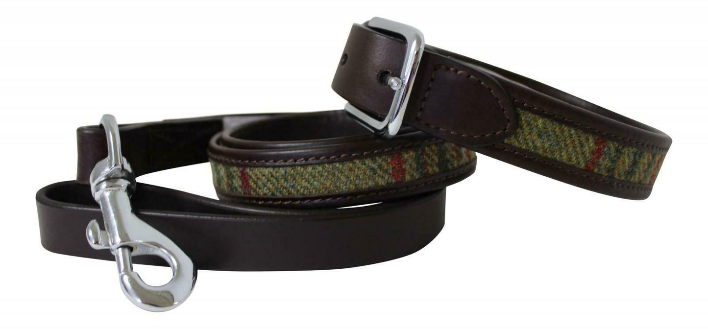 Dog Collar & Lead Set in Green