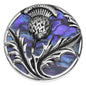 Paua Shell Thistle Brooch