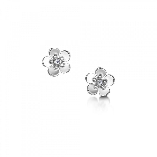 Forget Me Not Floral Studs
