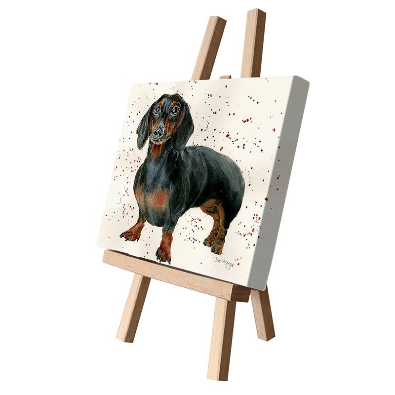 Dora Dachshund Canvas