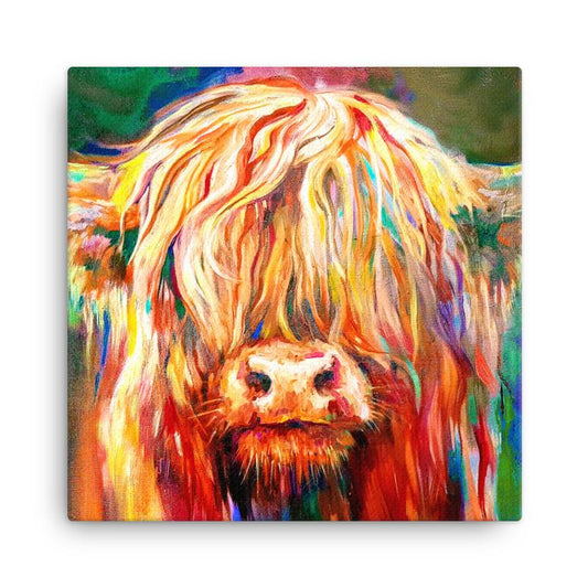 Colourful Baby Highland Cow Mini Canvas