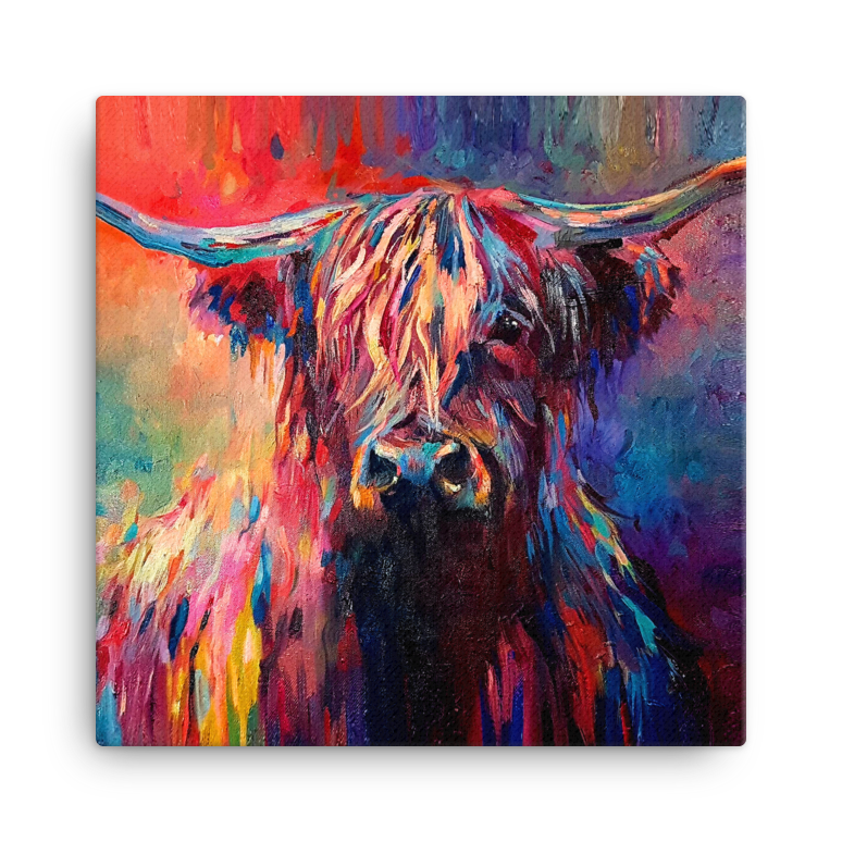 Colourful Highland Cow Canvas