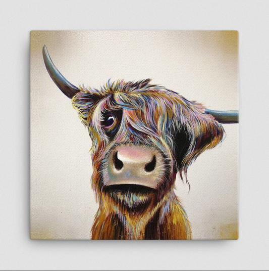 A Bad Hair Day' Highland Cow Large Canvas