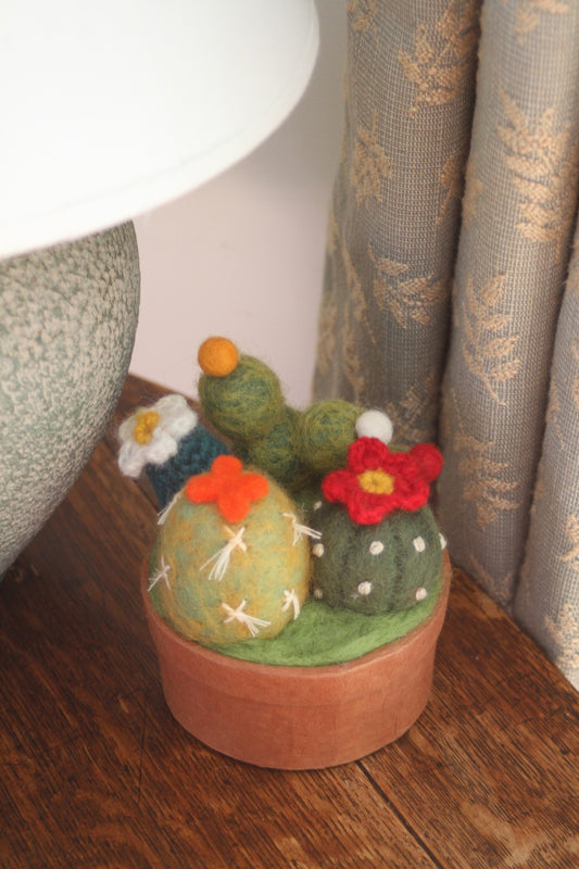 Felt Cactus Pot