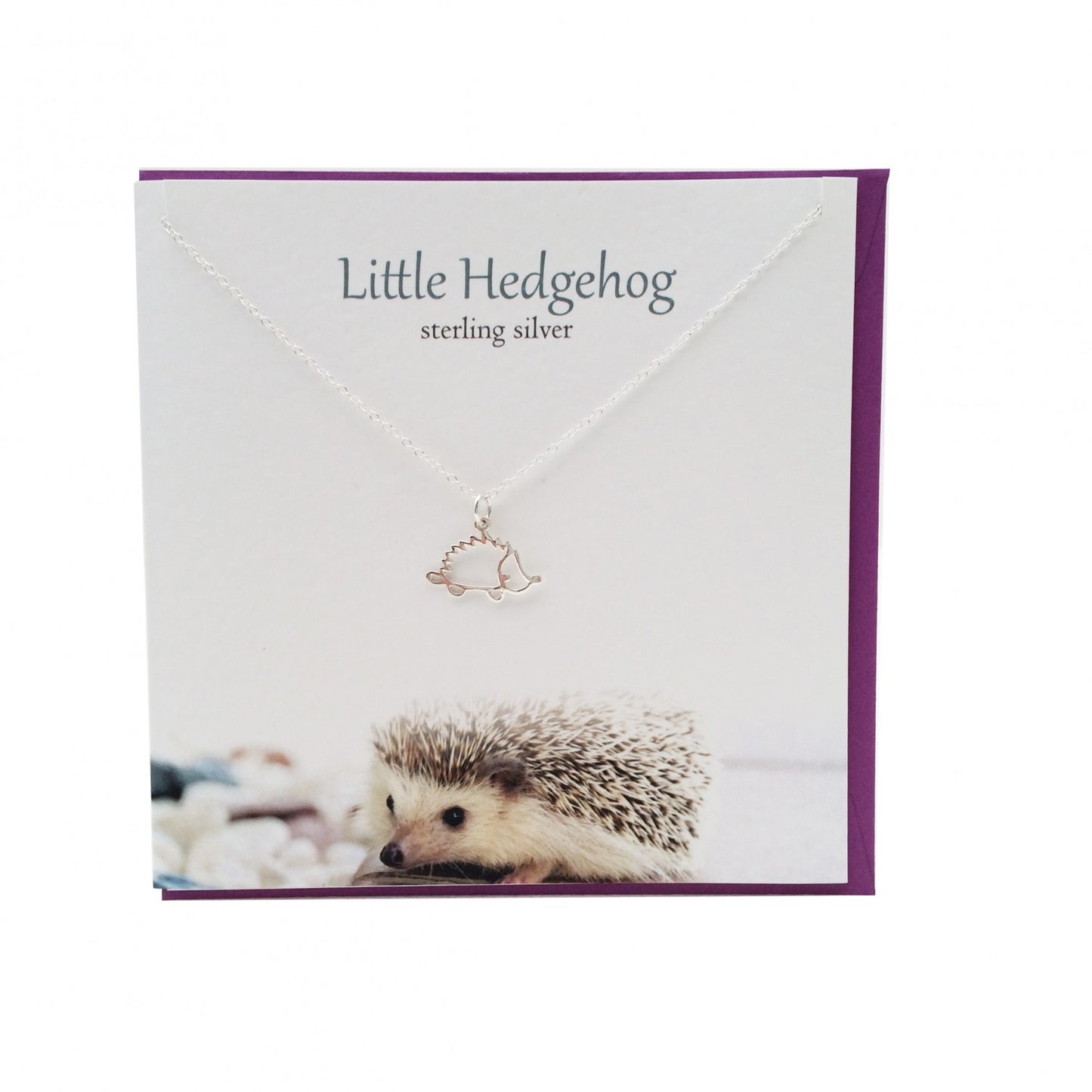 Hedgehog Necklace Gift Card Set