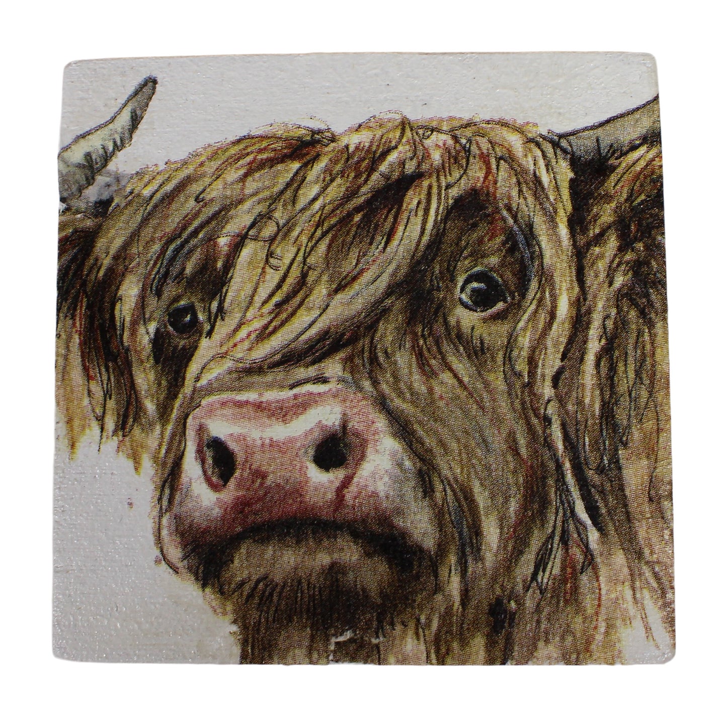 Highland Cow Set of Four Coasters