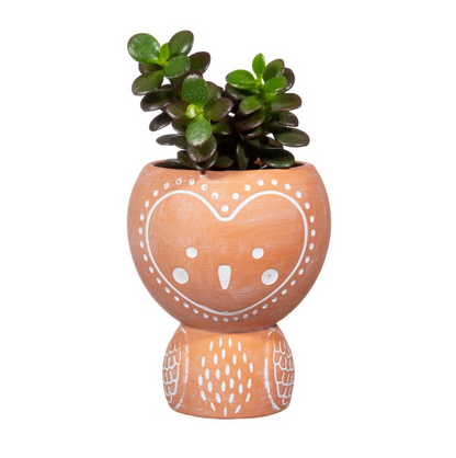 Brown Olivia Owl Terracotta Planter