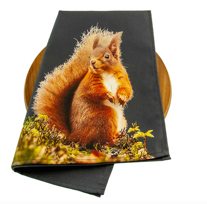 Colourful Red Squirrel Tea Towel