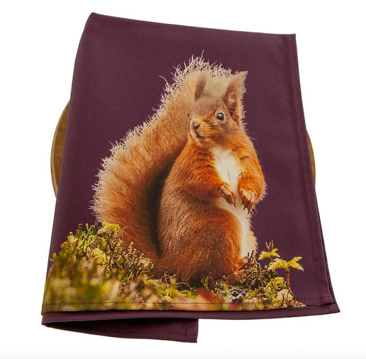 Colourful Red Squirrel Tea Towel