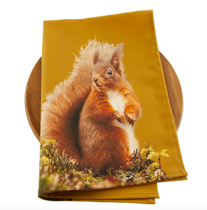 Colourful Red Squirrel Tea Towel