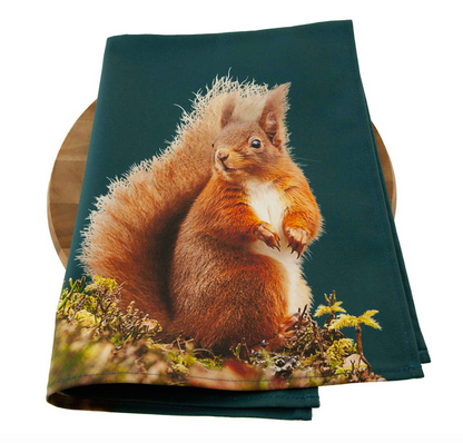 Colourful Red Squirrel Tea Towel