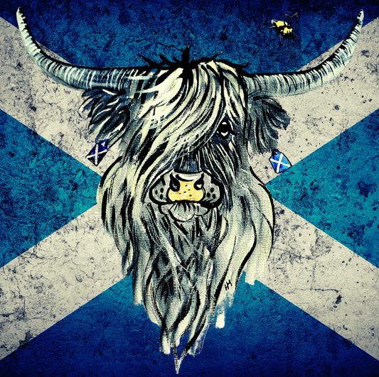 Scotty' Highland Cow Saltire Print